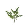 Phlebodium aureum artificiale EYMEN su stelo, verde, 65cm