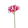 Nerine artificiale BAIMAI, fucsia, 75cm