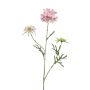 Scabiosa artificiale MARUA, rosa, 80cm