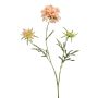 Scabiosa artificiale MARUA, pesca, 80cm