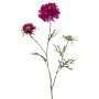Scabiosa artificiale MARUA, viola, 80cm