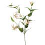 Gloriosa artificiale WARIS rosa-crema, 120cm