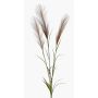 Ramo di erba della pampa artificiale ADNANE con pannocchie, marrone, 90cm