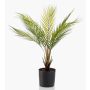 Palma Chamaedorea artificiale AIKU, 50cm