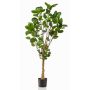 Polyscias artificiale FAUZIA, tronco artificiale, 150cm