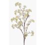 Ramo decorativo di fiori di ciliegio GIMA con fiori, giallo crema, 120cm