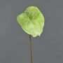 Anthurium artificiale YUSEI, verde-crema, 65cm