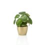 Pilea peperomioides artificiale SYBIL in vaso di ceramica dorato, verde, 20cm
