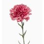 Garofano artificiale NIRUSHA, rosa antico, 65cm