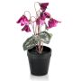Ciclamino artificiale MARIJA in vaso decorativo, viola, 30cm