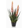 Aloe Vera artificiale SUSUMI con fiori, vaso decorativo, arancione-verde, 80cm