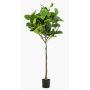 Ficus Lyrata artificiale ABIULA, tronco vero, verde, 195cm