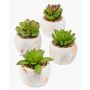 Succulente decorative LOYE in vaso di marmo, 4 pezzi, verde, 13-15cm