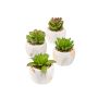 Succulente decorative LOYE in vaso di marmo, 4 pezzi, verde, 13-15cm