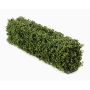 Siepe artificiale di bosso TOM, struttura in metallo, zona trasversale, 100x20x25cm