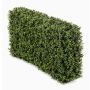 Siepe artificiale di bosso TOM, struttura in metallo, zona trasversale, 100x20x50cm