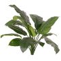 Pianta artificiale Spathiphyllum PLAKIAS, difficilmente infiammabile, bastoncino, verde, 90 cm