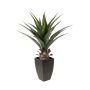 Agave di plastica IZAMAL in vaso decorativo, verde, 70cm