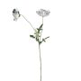 Ramo di fiori artificiali papavero GUNDULA, Eco Collection, grigio-blu, 70 cm, Ø7-8 cm