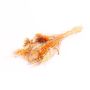 Bouquet secco DILIANE, giallo-arancio-natura, 50cm, Ø15cm