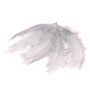 Decorazione naturale piume di struzzo PIPPIN, 5 pezzi, grigio chiaro, 55-70 cm