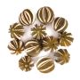 Arance essiccate SIEGLINDE, incise, verdi, Ø5-6cm, 250g