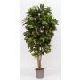 Croton artificiale KAJETANA, tronchi naturali, colorato, 125 cm - Made in Italy