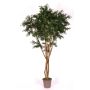 Acacia artificiale ANDRIY con tronchi reali, crossdoor, verde, 250 cm - Made in Italy
