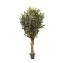 Pianta artificiale Olivo CECILIO, tronco vero, con frutti, 200 cm - Made in Italy