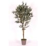 Olivo artificiale MIANA, tronchi naturali, con frutti, 100 cm - Made in Italy