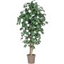 Camelia artificiale JASMINDE, tronchi naturali, con fiori, bianco, 125 cm - Made in Italy