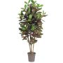 Decorazione Croton JULISSA, tronco vero, colorato, 175 cm - Made in Italy