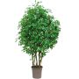 Ficus benjamina artificiale SORAVIA, tronchi naturali, verde, 150 cm - Made in Italy