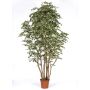 Ficus Benjamini artificiale MIMITIGO, tronchi reali, verde-bianco, 175 cm - Made in Italy