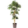 Albero decorativo acero giapponese DANIIL, tronco vero, verde-rosso, 185 cm - Made in Italy