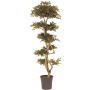Albero decorativo Acero giapponese SLAWIK, tronco reale, verde-rosso, 185 cm - Made in Italy