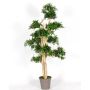 Podocarpus decorativo MIRANA, tronco naturale, verde, 180 cm - Made in Italy