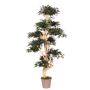 Albero decorativo Acero giapponese SLAWIK, tronco vero, verde, 150 cm - Made in Italy