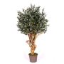 Olivo artificiale COTARIO, tronco vero, con frutti, 225 cm - Made in Italy