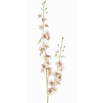 Ramo di orchidea Oncidium artificiale TALIAH, bianco-rosa, 85cm, Ø3-4cm Ramo di orchidea Oncidium artificiale TALIAH, bianco-rosa, 85cm, Ø3-4cm