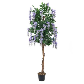 Maggiociondolo finto LESLIE tronchi veri, con fiori, lilla, 180cm Maggiociondolo finto LESLIE tronchi veri, con fiori, lilla, 180cm