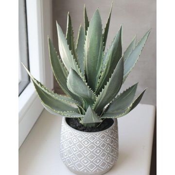 Pianta artificiale di agave americana HEDI in vaso di terracotta, verde, 35 cm