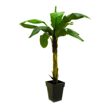 Pianta di banano artificiale KEKOA, 220cm