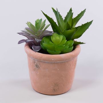 Composizione artificiale di piante grasse DANGELO in vaso di terracotta, verde-viola, 19 cm Composizione artificiale di piante grasse DANGELO in vaso di terracotta, verde-viola, 19 cm