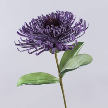 Fiore artificiale Protea in schiuma plastica ISLARTINA, lilla scuro, 75cm