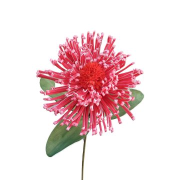 Fiore artificiale cuscino per spilli Protea in schiuma plastica ISLARTINA, rosso-rosa, 75 cm