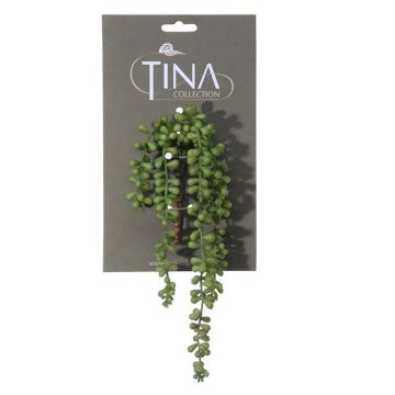 Senecio artificiale NELLAS, gambo, verde, 35cm