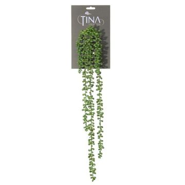 Senecio artificiale NELLAS, gambo, verde, 70cm