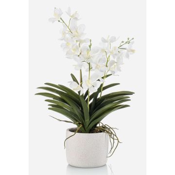 Orchidea artificiale Vanda PAVRA in vaso di ceramica, radici, bianco-crema, 60 cm