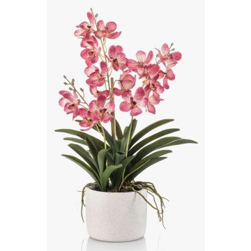 Orchidea artificiale Vanda PAVRA in vaso di ceramica, radici, rosa-bianco, 60 cm